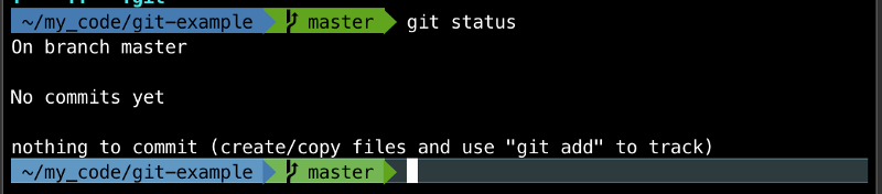 Result of running git status in an empty git repository