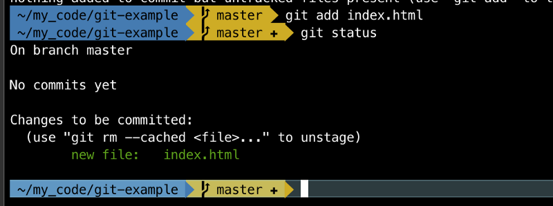 Running git status after adding the file
